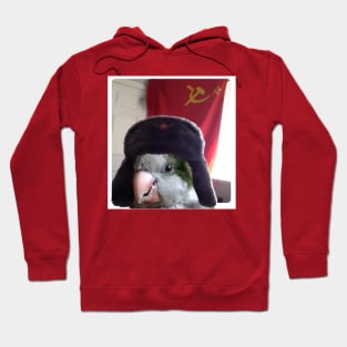 Comrade parrot Hoodie